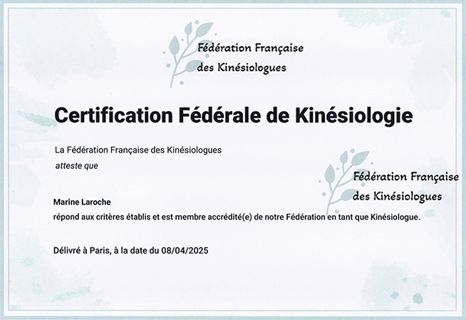 Kinesiologie Marine Laroche Magnétisme Reiki Lesneven